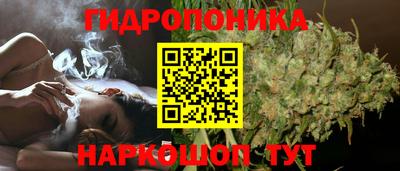 кокс Донецк