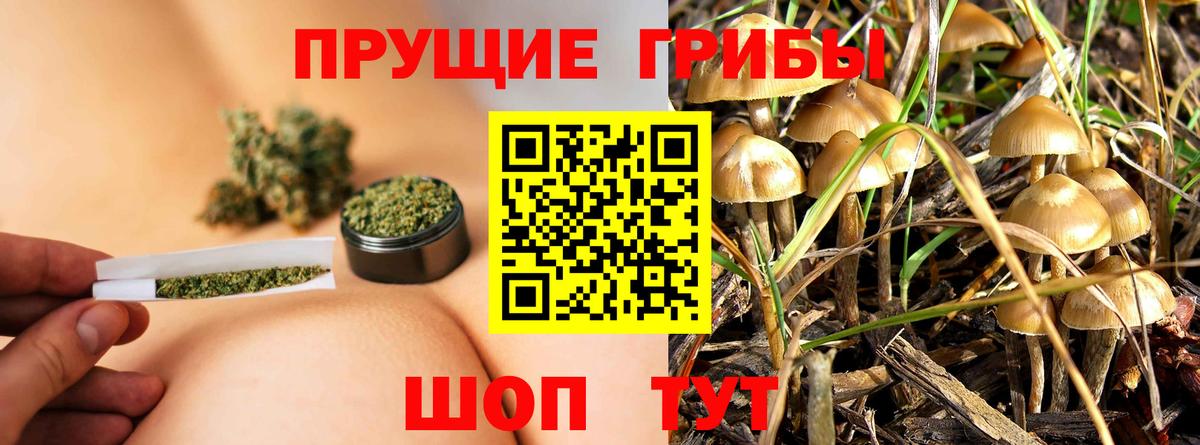 Михайловск  Галлюциногенные грибы GOLDEN TEACHER  Псилоцибиновые грибы Magic Shrooms  Вход с VPN 